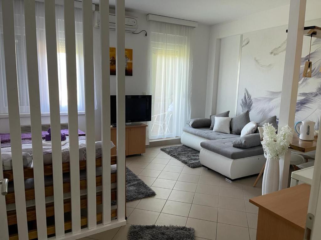 Apartman Lukic Banja Koviljača 外观 照片