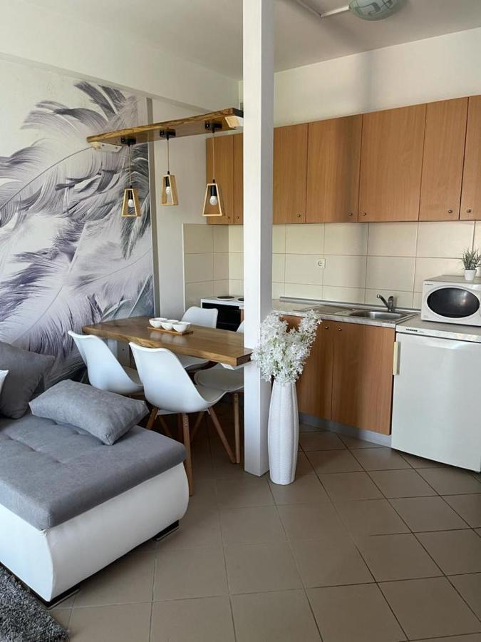 Apartman Lukic Banja Koviljača 外观 照片