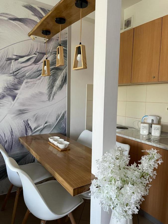 Apartman Lukic Banja Koviljača 外观 照片
