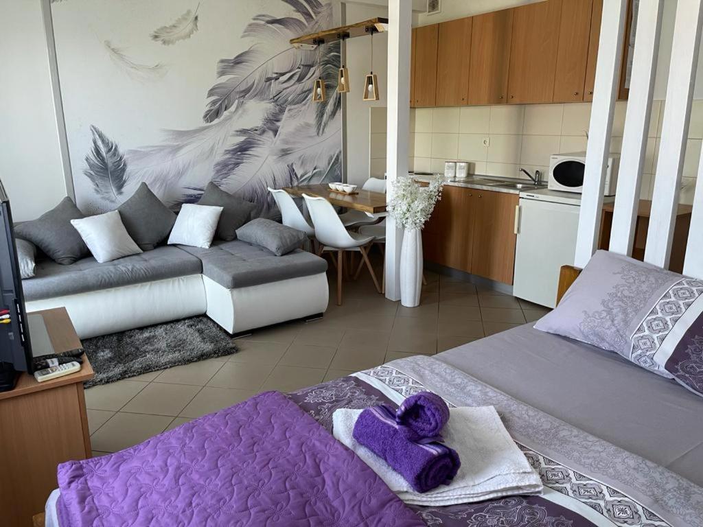 Apartman Lukic Banja Koviljača 外观 照片