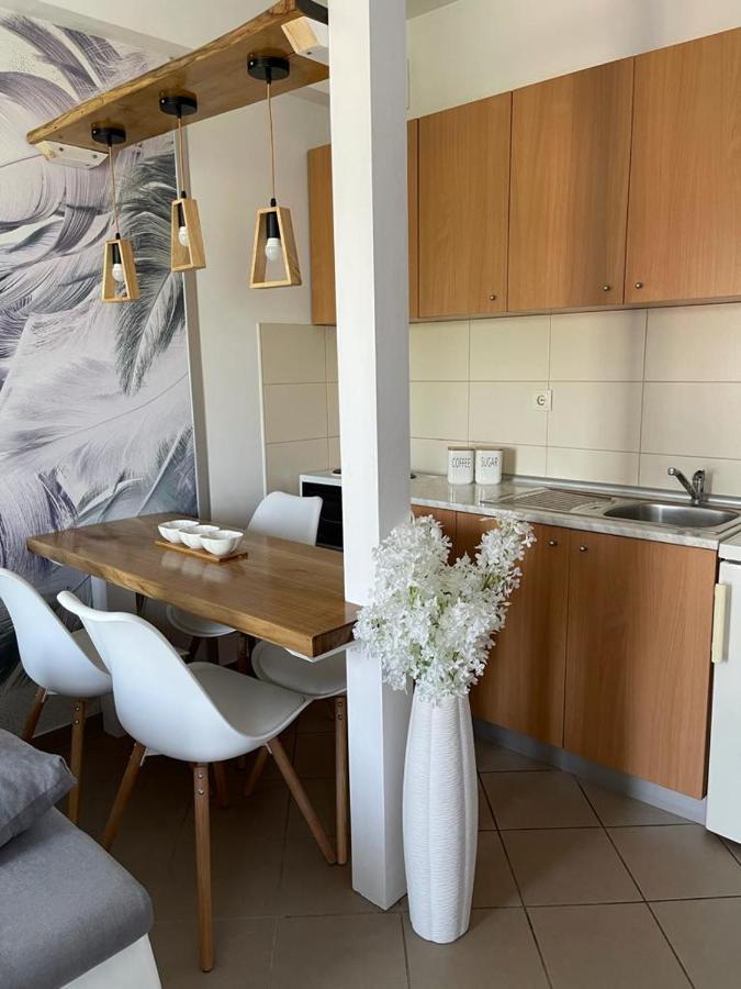 Apartman Lukic Banja Koviljača 外观 照片