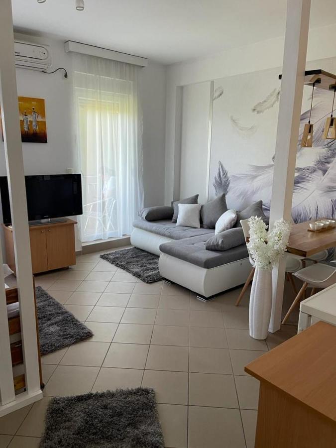 Apartman Lukic Banja Koviljača 外观 照片