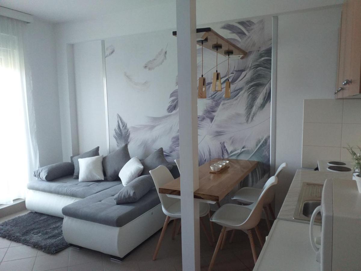 Apartman Lukic Banja Koviljača 外观 照片