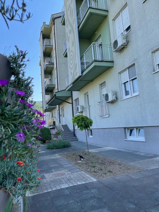 Apartman Lukic Banja Koviljača 外观 照片
