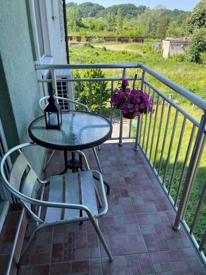 Apartman Lukic Banja Koviljača 外观 照片