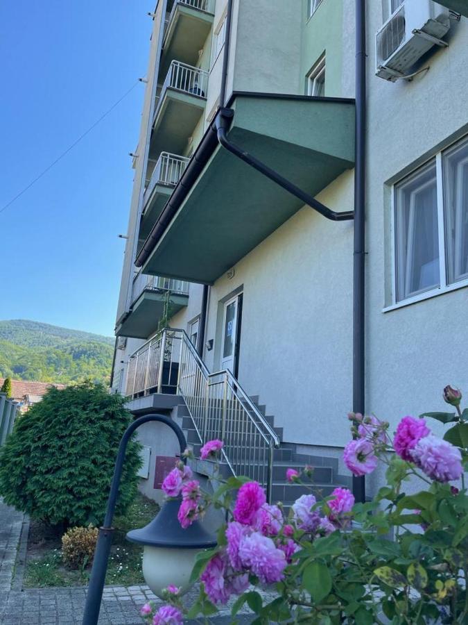 Apartman Lukic Banja Koviljača 外观 照片