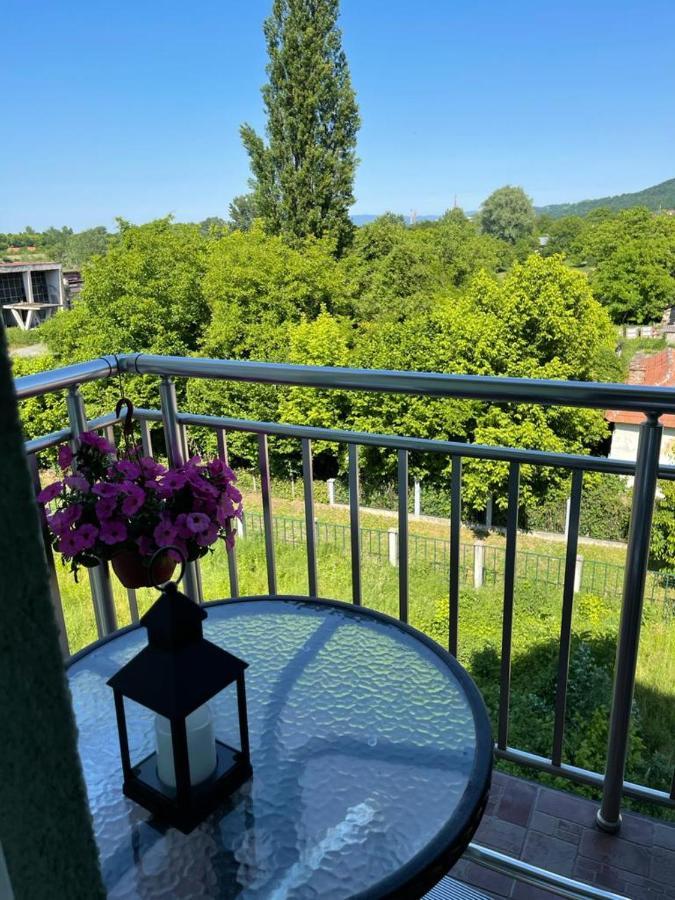 Apartman Lukic Banja Koviljača 外观 照片